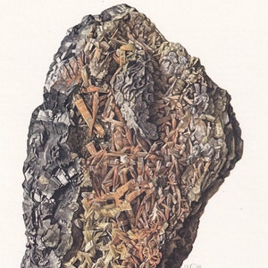 Może przedstawiać: Szczegółowa ilustracja okazu minerału, przedstawiająca złożony układ struktur krystalicznych. Paleta kolorów obejmuje odcienie szarości, brązu i pomarańczy, z teksturowanym wyglądem. Słowo "Valentinite" znajduje się na dole.
