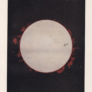 1900 SOLAR PROMINENCE Print - Solar Filament - Sun Print - Astronomy Print - Original Vintage Print - 124 Years Old - 7.75 x 11.2 Inches