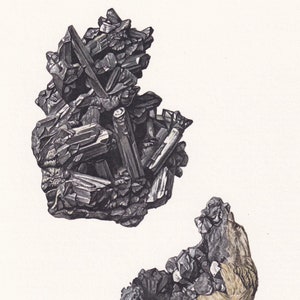 1968 STEFANIT & ARGENTIT Tryck - Mineralväggkonst Gåva - Mineralogidekor - Ädelstenar Hällristningar - Elementtryck - 7,5 x 10,6 tum