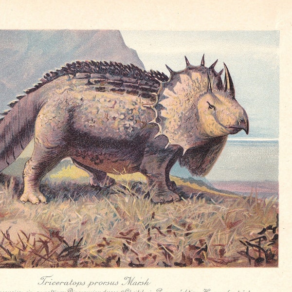 1902 TRICERATOPS DINOSAUR Print - Antique Dinosaur Print - Paleoart - Dinosaur Wall Art - 121 Years Old - 10.5 x 7.5 Inches