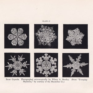 1934 SNOW CRYSTALS Print - Snowflake Print - Snow Art - Microscopic Snow - Original Vintage Print - 89 Years Old - 9.15 x 6 Inches