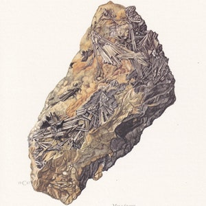 MILLERITE (MIESZANKA NIKLU) Z 1968 ROKU – Prezent w postaci mineralnej sztuki ściennej – Wystrój mineralogiczny – Kamienie szlachetne – Sztuka naskalna – Element – 7,5 x 10,6 cala