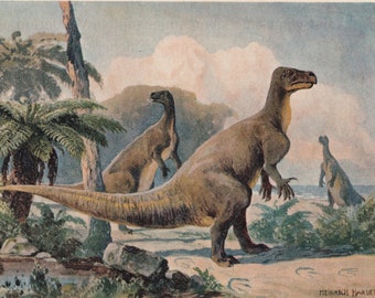 1902 IGUANODON Print - Antique Dinosaur Print - Paleoart - Prehistoric Wall Art - 121 Years Old - 10.5 x 7.5 Inches