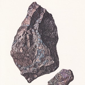 Puede incluir: Ilustración de dos piezas de Germanita, un mineral. La pieza más grande es de color marrón oscuro con reflejos azules y morados. La pieza más pequeña es de un color similar con un tono púrpura. La palabra "GERMANITE" está impresa debajo.