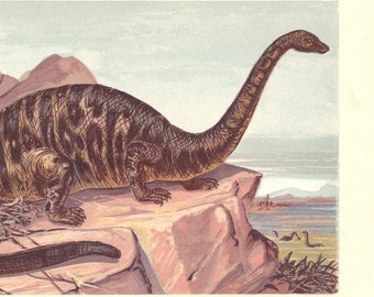 1902 BRONTOSAURUS DINOSAUR Print - Antique Dinosaur Print - Paleoart - Dinosaur Wall Art - 121 Years Old - 10.5 x 7.5 Inches