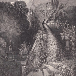 Grabado de Gustave Dore (1870): &quot;El pavo real se queja a Juno&quot; - Arte mural de Dore - Grabado de Dore - 21,5 x 31,8 cm
