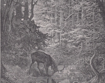1870 GUSTAVE DORE Print - &quot;The Stag Viewing Himself in the Stream&quot; - Dore Wall Art - Dore Engraving - 8.5 x 12.8 Inches
