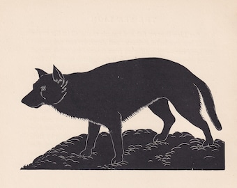 元旦セール　赤坂三好　版画版　 オオカミの絵 木製フレーム 1929年 オオカミの版画 木版画 - オオカミの壁画 - 動物学版画