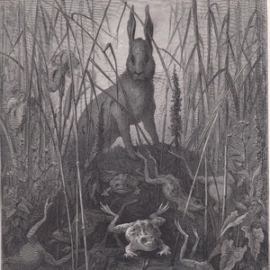 1870 GUSTAVE DORE Print - &quot;The Hare and the Frogs&quot; - Dore Wall Art - Dore Engraving - 8.5 x 12.8 Inches