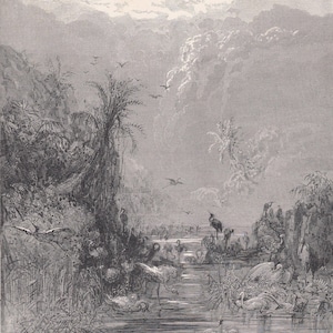 1870 GUSTAVE DORE Print - &quot;The Creation of Birds&quot; - Dore Wall Art - Dore Engraving - 8.5 x 12.8 Inches