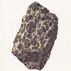 May include: A close-up of a dark gray and black chromite rock with a rough, textured surface. The rock is composed of small, dark crystals.