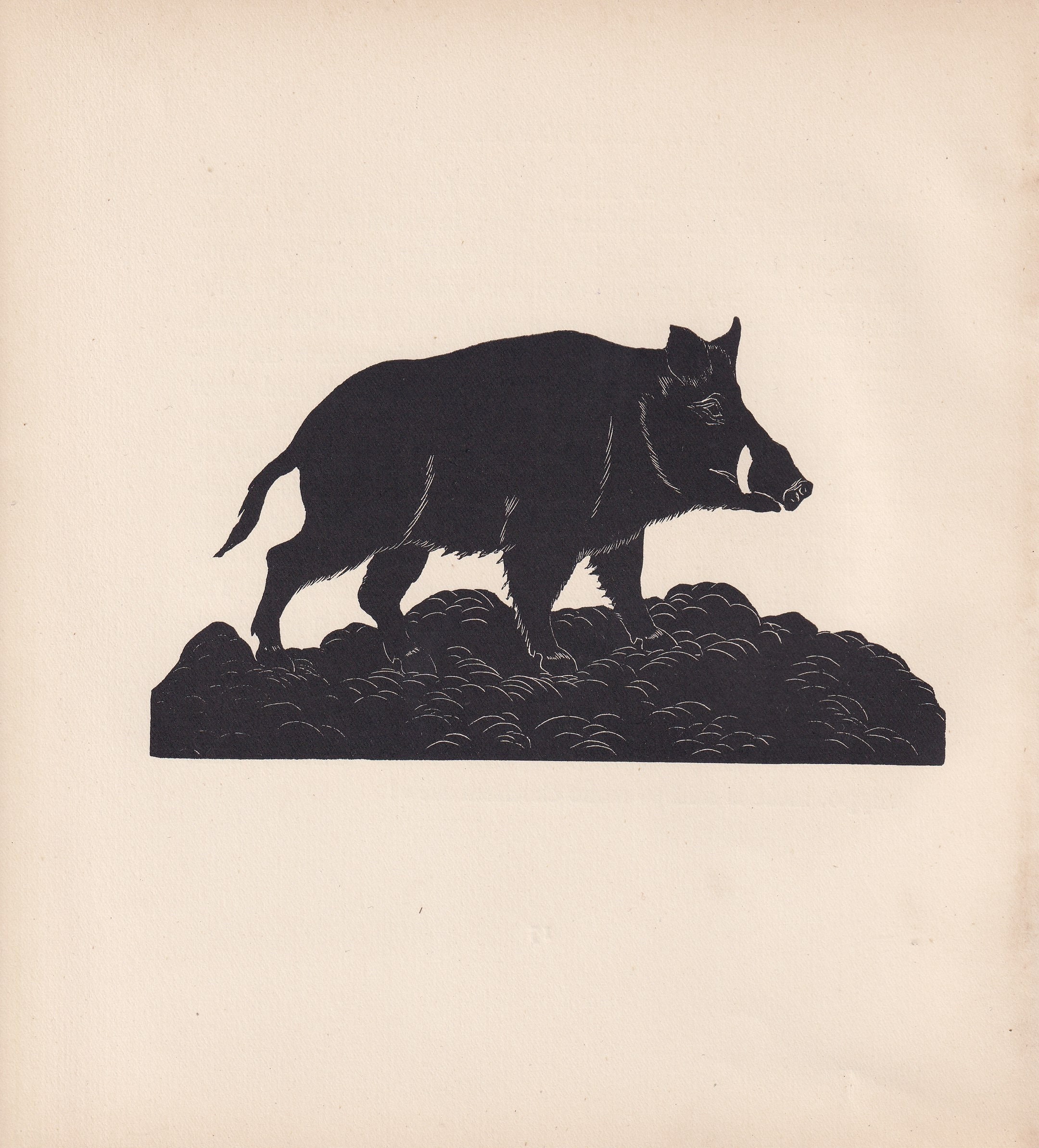 1929 WILD BOAR Print Wood Engraving - Boar Wall Art - Zoology Print - Antique Animal Print - 94 Years Old - 8 x 7.25 Inches