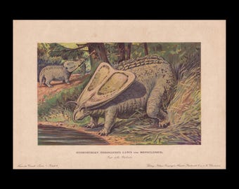 1902 TOROSAURUS & MONOCLONIUS Dinosaur Print - Cretaceous Herbivore - Paleoart - Prehistoric Animals Wall Art - 10.5 x 7.5 Inches