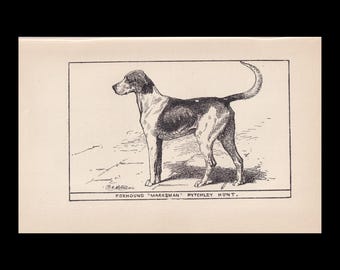 1900 FOXHOUND DOG Print - Original Antique Dog Print - Dog Wall Art - Dog Lover - Dog Gift - 8.6 x 5.6 Inches