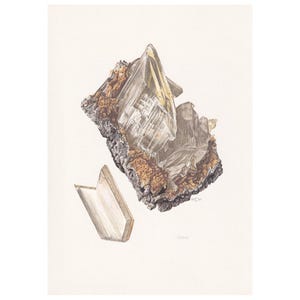 1968 GYPSUM Print - Mineral Wall Art Gift - Mineralogy Decor - Precious Stones - Vintage Rock Art - Element - 7,5 x 10,6 cala