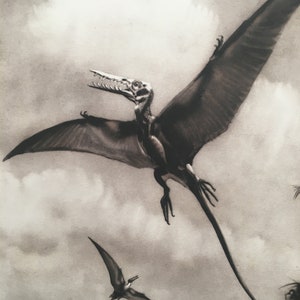 1960 PTEROSAUR Print - Prehistoric Animals Print - Paleoart - Dinosaur Decoration - Dinosaur Print - 63 Years Old - 13.5 x 9.75 Inches