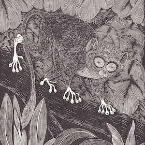 1931 TARSIER Print Wood Engraving - Primate Wall Art - Zoology Print - Antique Animal Wood Engraving - 92 Years Old - 7.8 x 5.25 Inches