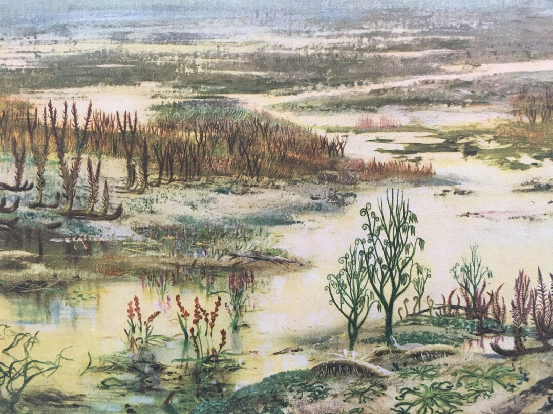 1960 DEVONIAN PERIOD LANDSCAPE Print Prehistoric Print - Etsy