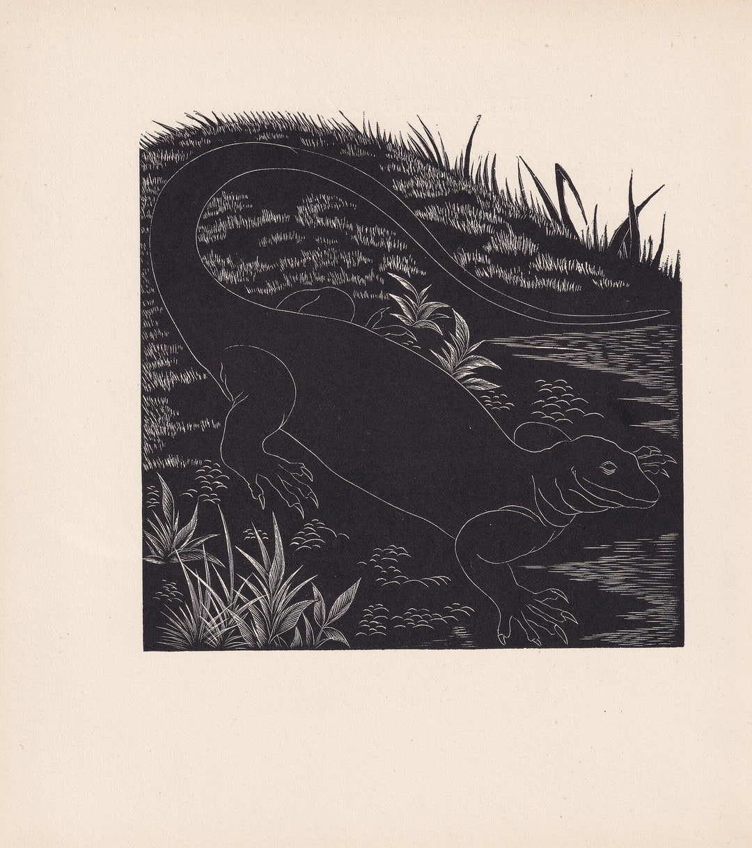 1929 WATER MONITOR Print Wood Engraving - Lizard Wall Art - Lizard Wood ...