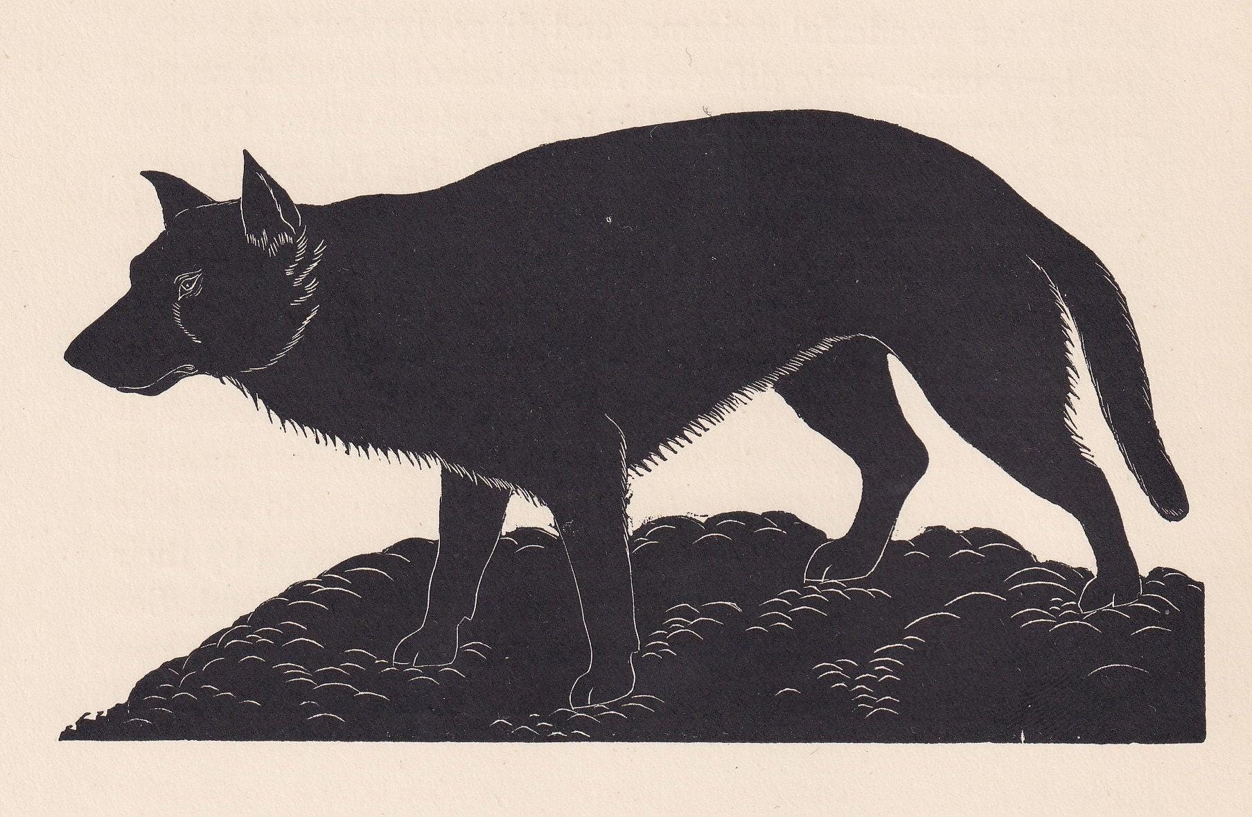 1929年 オオカミの版画 木版画 - オオカミの壁画 - 動物学版画