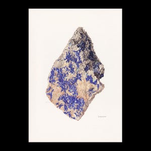 May include: A detailed illustration of a mineral specimen, featuring a light-colored base with vibrant blue crystalline structures. The mineral is labeled "Linarite" in a classic, scientific style, set against a white background.