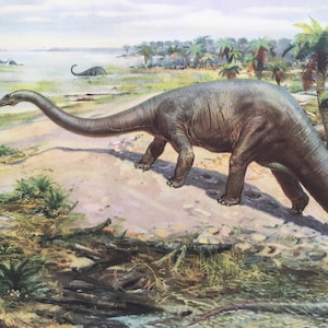 1960 DIPLODOCUS DINOSAUR Print Prehistoric Animals Print Paleoart ...