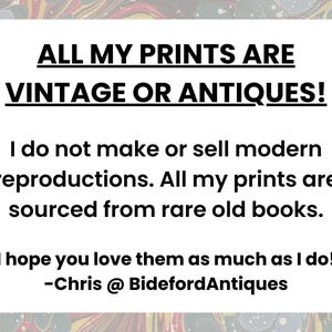 ALL MY PRINTS ARE VINTAGE OR ANTIQUES! I do not make or sell modern reproductions. All my prints are sourced from rare old books. I hope you love them as much as I do! - Chris @ BidefordAntiques