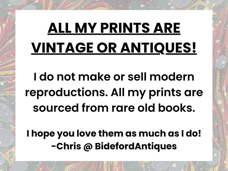 ALL MY PRINTS ARE VINTAGE OR ANTIQUES! I do not make or sell modern reproductions. All my prints are sourced from rare old books. I hope you love them as much as I do! - Chris @ BidefordAntiques