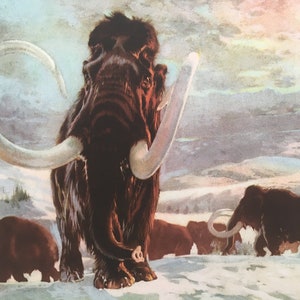 1960 WOOLLY MAMMOTH Print - Prehistoric Animals Print - Paleoart - Mammoth Wall Art - 63 Years Old - 13.5 x 9.75 Inches