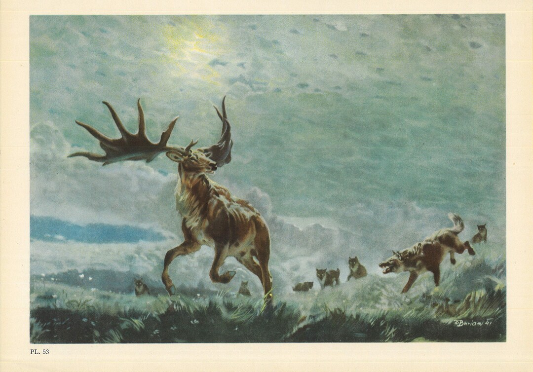 Large 1960 IRISH ELK Print - Prehistoric Animals Print - Giant Deer ...