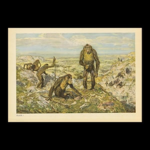 May include: A vintage-style illustration titled PLATE 1 depicting a group of early hominids in a rocky, grassy landscape. Several figures are shown interacting with tools and animal bones, while one central figure stands holding a tool.