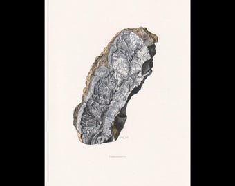 Może przedstawiać: Szczegółowa ilustracja naukowa okazu minerału koronadytu. Skała ma ciemną, metaliczną, warstwową i groniastą teksturę z szorstką, jasnobrązową krawędzią zewnętrzną. Słowo CORONADITE jest wydrukowane małym drukiem pod ilustracją.