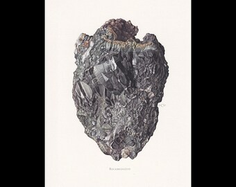 Może przedstawiać: Szczegółowa ilustracja naukowa okazu minerału rockbridgeitu. Ciemny, teksturowany kamień przedstawia formacje krystaliczne w głębokich odcieniach szarości i czerni, podkreślone cienkim, jasnobrązowym pasmem wzdłuż górnej krawędzi.