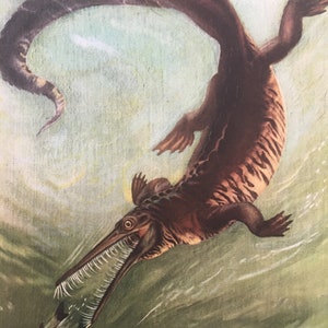 1960 MESOSAURUS Print - Prehistoric Animals Print - Paleoart - Dinosaur Decoration - Dinosaur Print - 63 Years Old - 13.5 x 9.75 Inches