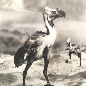 1960 PHORUSRHACOS Print - Prehistoric Animals Print - Paleoart - Paleontology Print - Extinct Bird Print - 63 Years Old - 13.5 x 9.75 Inches