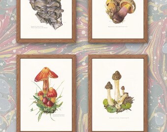 Stampa Su Tela Artistica Da Parete Con Funghi Vintage, Quadro Botanico Senza Cornice, 40x61 Cm, Arredamento Rustico Per Soggiorno E Camera