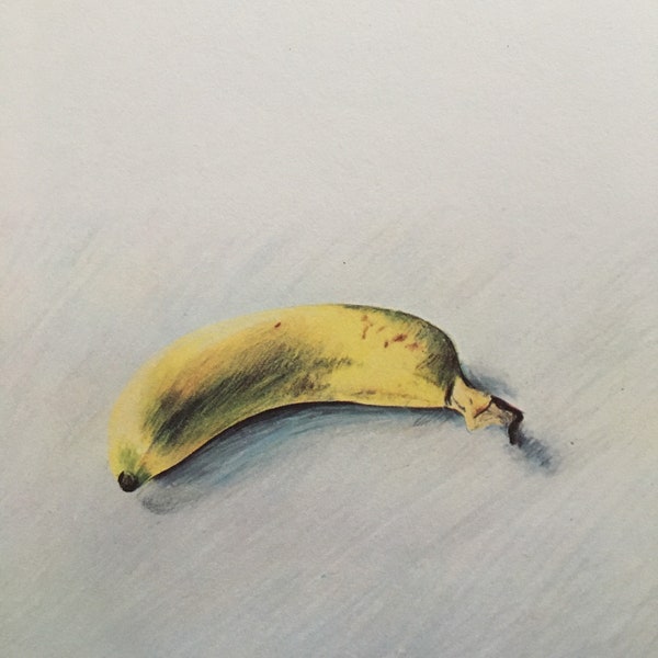 Vintage 1978 DAVID HOCKNEY - Print "Banaan, 1970" - Hockney Art - Hockney Wall Art - 8 x 8,12 inch