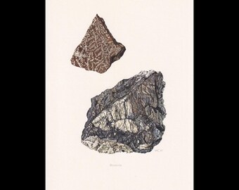 May include: A scientific illustration featuring two distinct mineral specimens. The top specimen is a triangular brown rock with fern-like patterns. The larger bottom specimen is a jagged, multi-layered rock in shades of gray and black.