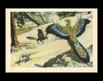 May include: A vintage-style illustration labeled PL. 37 depicting three feathered dinosaurs in a prehistoric landscape. One large dinosaur stands with wings spread wide, while another flies nearby and a smaller one stands on the ground.