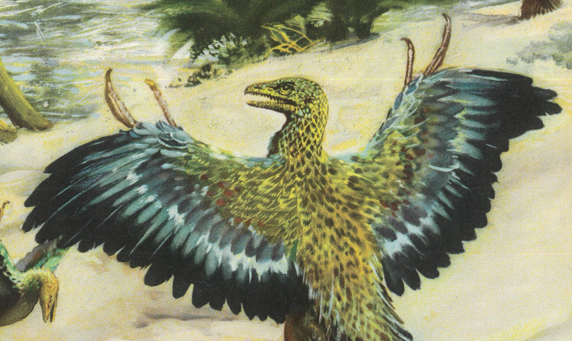 1960 ARCHAEOPTERYX DINOSAUR Print - Prehistoric Animals Print