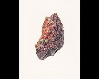 May include: A detailed scientific illustration of a Lobansite mineral specimen. The rock features a textured, dark grey base with vibrant clusters of bright red and orange crystalline formations. The word Lobansite is printed below the rock.