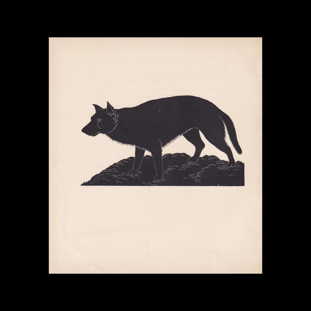 1929年 オオカミの版画 木版画 - オオカミの壁画 - 動物学版画