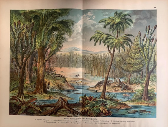 絵画 DINO PLANT Large 1878 DINOSAUR Print - Carboniferous Period - Antique