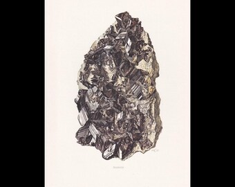 May include: A detailed scientific illustration of an Axinite mineral specimen. The cluster features dark, sharp, angular crystals with metallic luster and striated surfaces, set against a light, textured, off-white background.