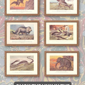 K&ouml;nnte beinhalten: Ein Satz von sechs Vintage-Illustrationen pr&auml;historischer Kreaturen, gerahmt in Holz. Die Illustrationen zeigen einen Pterodactylus, einen Plesiosaurus, einen Triceratops, ein Paar Plesiosaurier, einen Plesiosaurus und ein Mammut.