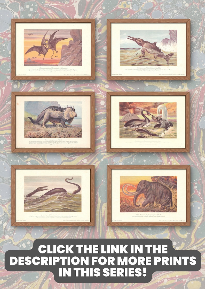 K&ouml;nnte beinhalten: Ein Satz von sechs Vintage-Illustrationen pr&auml;historischer Kreaturen, gerahmt in Holz. Die Illustrationen zeigen einen Pterodactylus, einen Plesiosaurus, einen Triceratops, ein Paar Plesiosaurier, einen Plesiosaurus und ein Mammut.