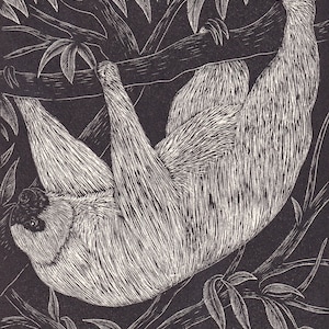 1931 SLOTH Print Wood Engraving - Wall Art - Zoology Print - Antique Animal Wood Engraving - 92 Years Old - 7.8 x 5.25 Inches