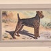 see more listings in the DOG & CAT PRINTS section