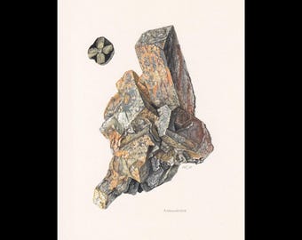 May include: A scientific illustration of an andalusite mineral cluster featuring angular, textured crystalline structures in shades of gray, brown, and ochre. A small cross-section detail is visible in the upper left, with the text ANDALUSITE below.