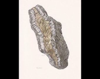 May include: A scientific illustration of a graphite specimen featuring a dark, metallic, textured outer layer surrounding a lighter, crystalline, beige-colored interior core. The word GRAPHITE is printed in small black text below the mineral.